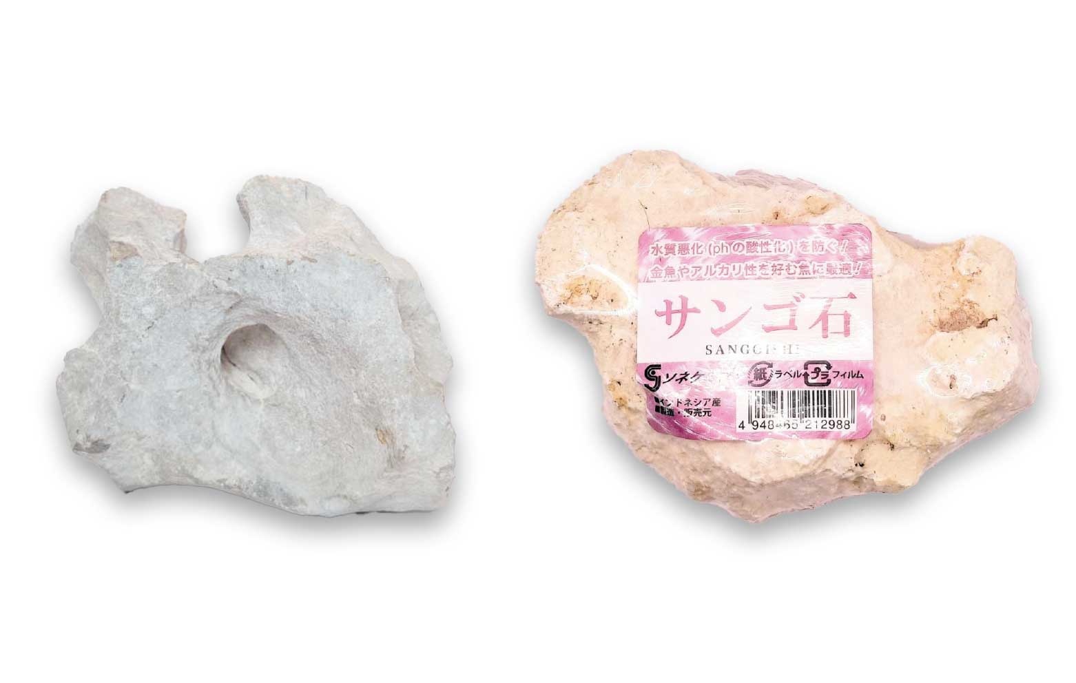 サンゴ石・シュリンクサンゴ石